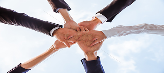 福田英才薈計劃的若干措施