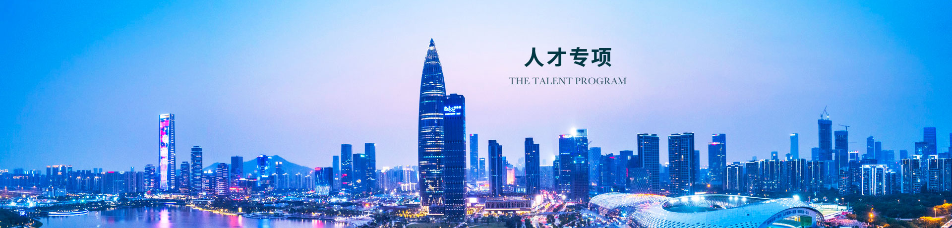 人才專項(xiàng)