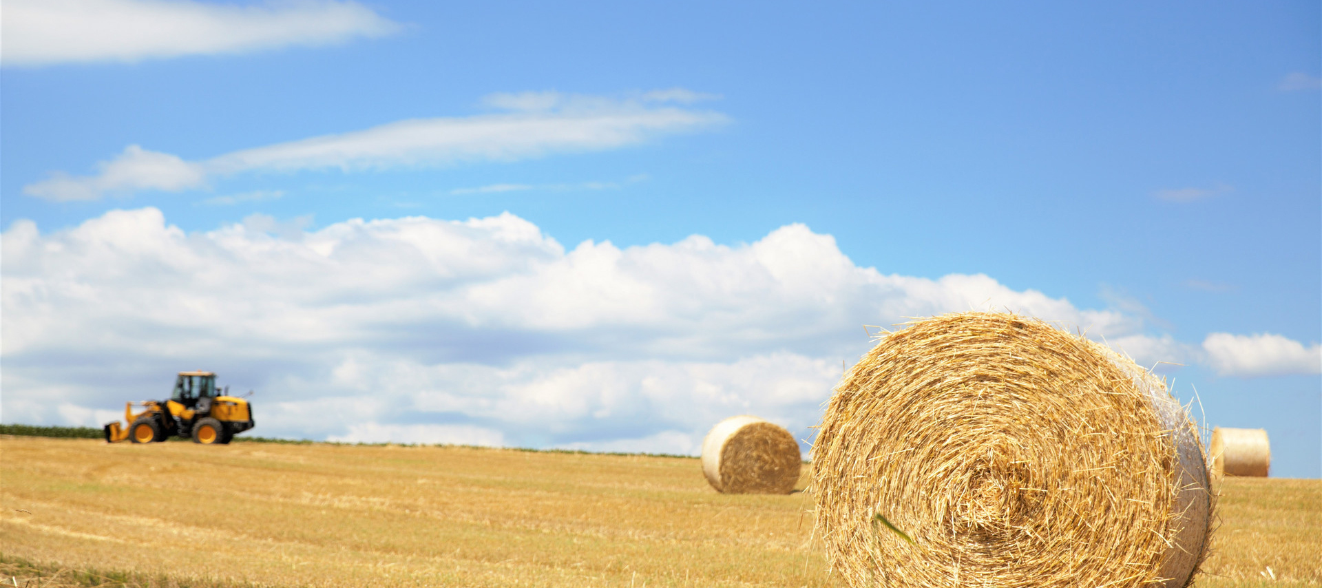 深圳市重點農(nóng)業(yè)龍頭企業(yè)認(rèn)定與監(jiān)測  管理辦法